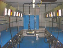 Fischgrätenmelkstand mit Milchmengenmessung und automatischer Abnahme